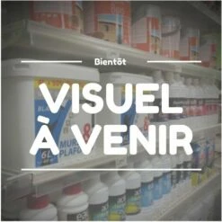 BUILDER Broyeur A Vegetaux Electrique Silencieux 2800 W